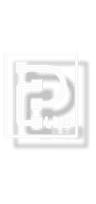 PClub Logo